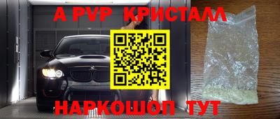 стафф Будённовск
