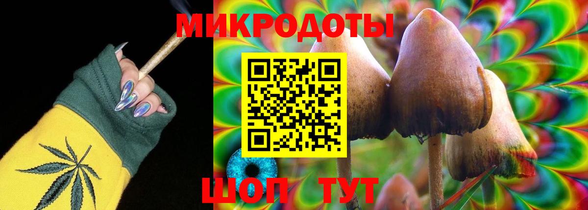 Галлюциногенные грибы мицелий  Вход с VPN  Галлюциногенные грибы прущие грибы  Карасук 