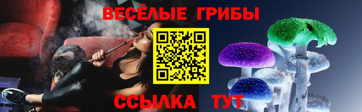 Псилоцибиновые грибы мицелий Карасук